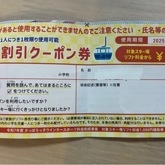国際スキー場・手稲スキー場・ばんけいスキー場割引券の画像