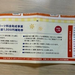 国際スキー場・手稲スキー場・ばんけいスキー場割引券の画像