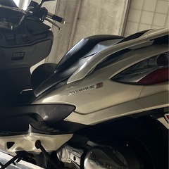 スズキスカイウェーブ250の画像