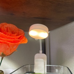 LED水槽ライト(電池駆動)の画像