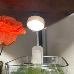 LED水槽ライト(電池駆動)の画像