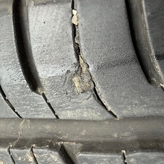 ダンロップ GRANDTREK PTS  225/55R19の画像