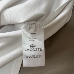 LACOSTE グリーンワニロゴ Tシャツの画像