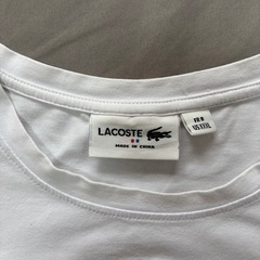 LACOSTE グリーンワニロゴ Tシャツの画像