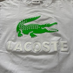 LACOSTE グリーンワニロゴ Tシャツの画像