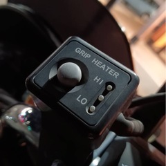 （決まりました）フォルツァZの画像