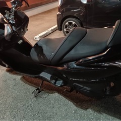 （決まりました）フォルツァZの画像