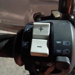 （決まりました）フォルツァZの画像