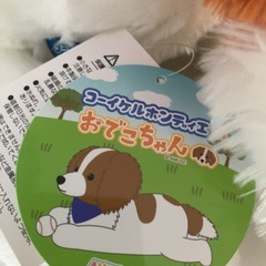 ぬいぐるみの画像