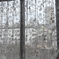 カーテン+レースの画像