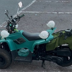 バギー➕リード　　ミニカー登録車の画像