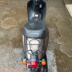 ホンダトゥデイの画像