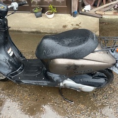 ホンダトゥデイの画像