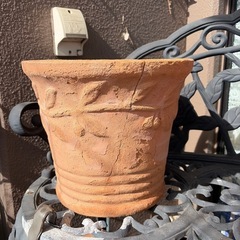 テラコッタ鉢差し上げますの画像