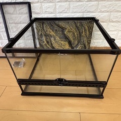 【美品】GEX EXOTERRA グラステラリウム4530 PT2603の画像