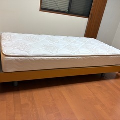 こんな物で良ければ貰ってくださいの画像