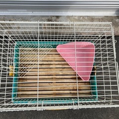小動物の飼育カゴの画像