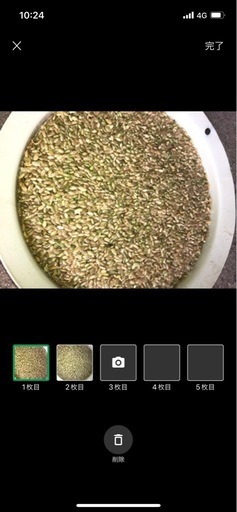 クズ米　鳥やペット用です　52キロ　
※食用には不向き