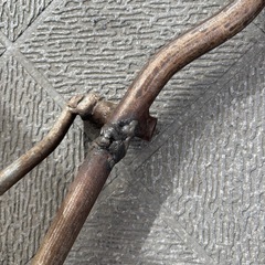 シーシーバーの画像