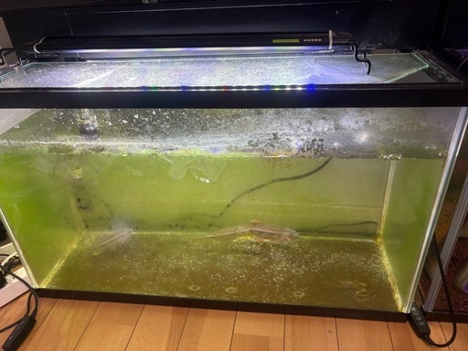 水槽