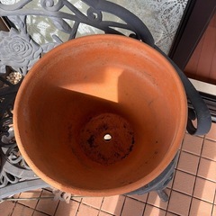 大きめテラコッタ鉢お譲りしますの画像