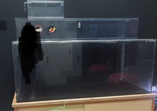 アロワナ等アクリル水槽 