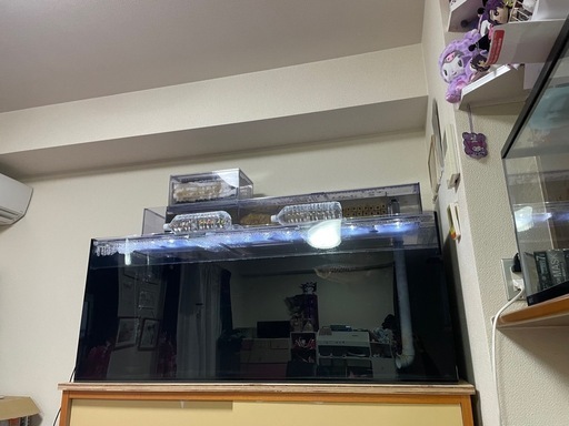 アロワナ等アクリル水槽 