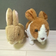 うさぎ　動く　ぬいぐるみ　おもちゃの画像