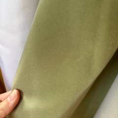1本 生地　ベルベットの画像
