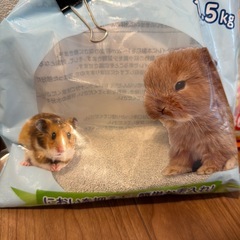 ハムスター用品の画像