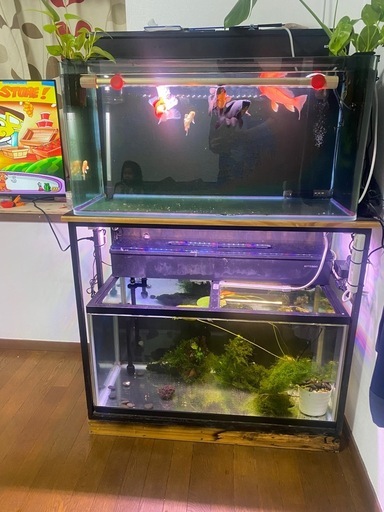 90cmコトブキ水槽2セットと水槽台