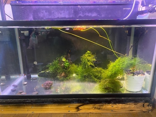 90cmコトブキ水槽2セットと水槽台