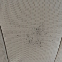 シングルベッド、中古品の画像