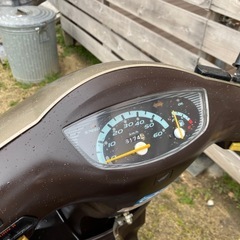 ☆ ★ タクト ★ ☆の画像