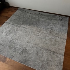 NITORI ほこりが取れやすい洗えるラグ(Nクリーンウォッシュ GY 185X185) の画像