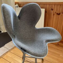 style　姿勢ケアシートの画像