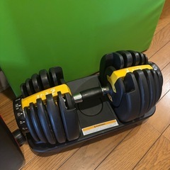 可変式ダンベル　アジャスタベンチ　マットセットの画像