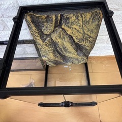 【美品】GEX EXOTERRA グラステラリウム3045 PT2602の画像