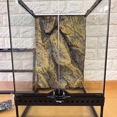 【美品】GEX EXOTERRA グラステラリウム3045 PT2602の画像