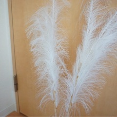 インテリア雑貨 花瓶 の画像