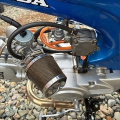 中華ダックスの画像