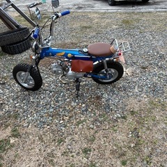 中華ダックスの画像