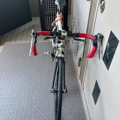 ルイガノ　　の画像