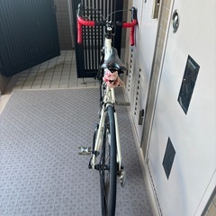 ルイガノ　　の画像