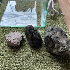 アクアリウム セットの画像