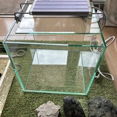 アクアリウム セットの画像