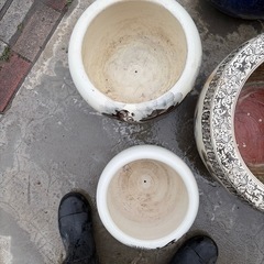 火鉢　　メタガ　金魚　水槽　鉢カバー　
まとめて の画像