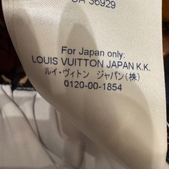 ルイヴィトン水着10万の画像