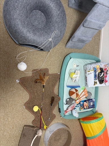 キャットタワー、猫おもちゃ