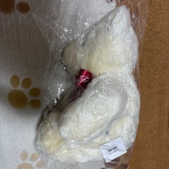 ハウステンボス　テディベア　新品、未開封の画像